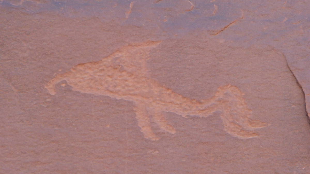 Wolfman Panel – Butler Wash – Cedar Mesa – Utah