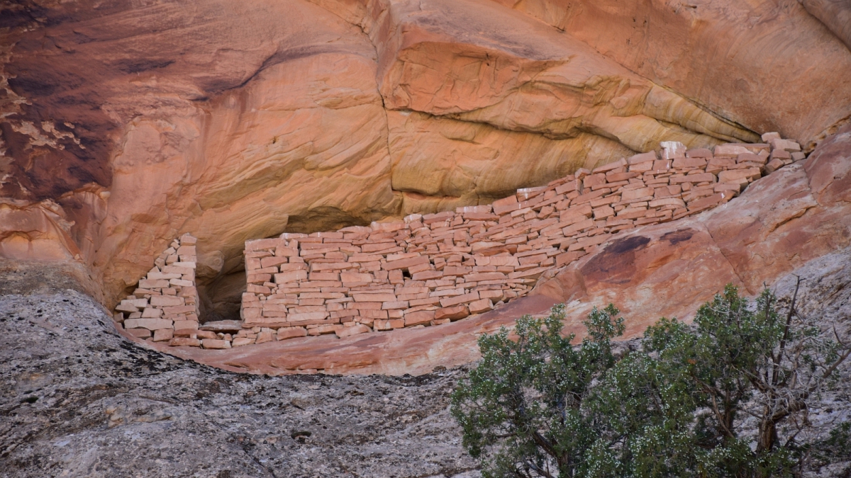 Butler Wash – Cedar Mesa – Utah