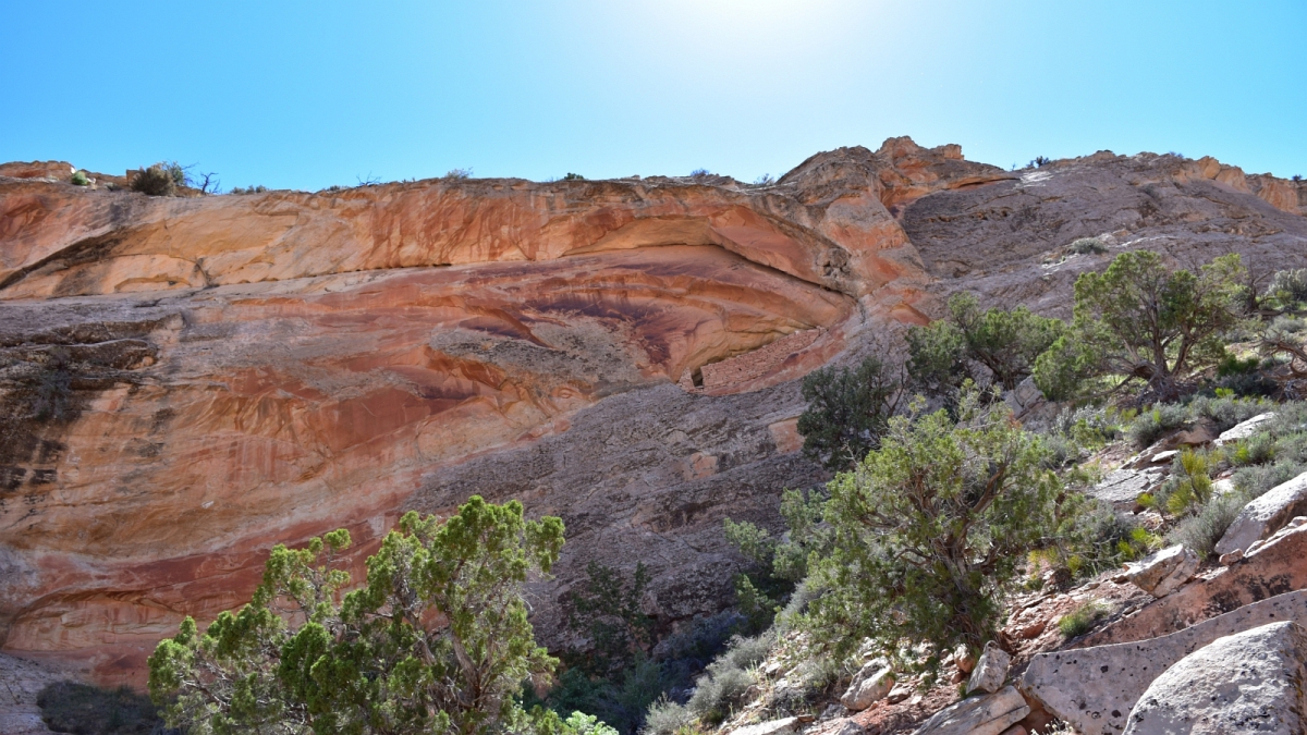 Butler Wash – Cedar Mesa – Utah