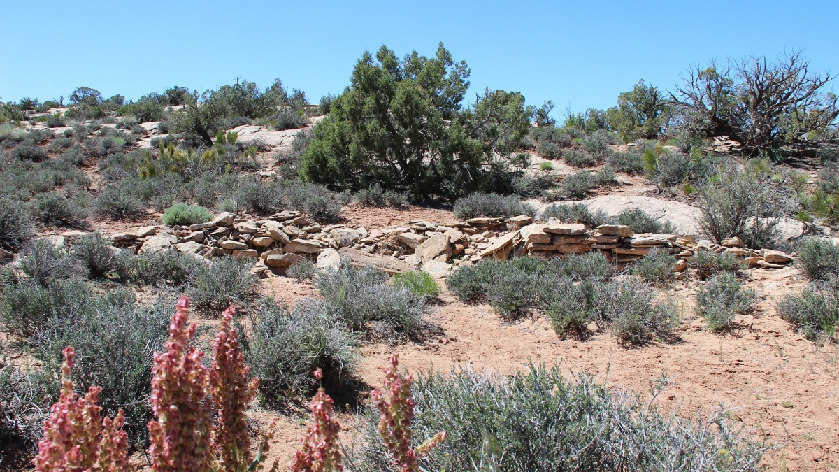 Butler Wash – Cedar Mesa – Utah