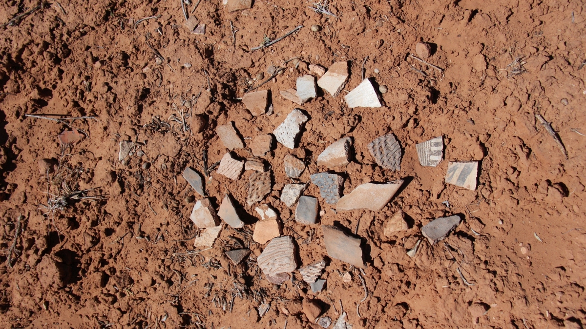 Butler Wash – Cedar Mesa – Utah