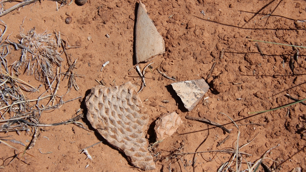 Butler Wash – Cedar Mesa – Utah