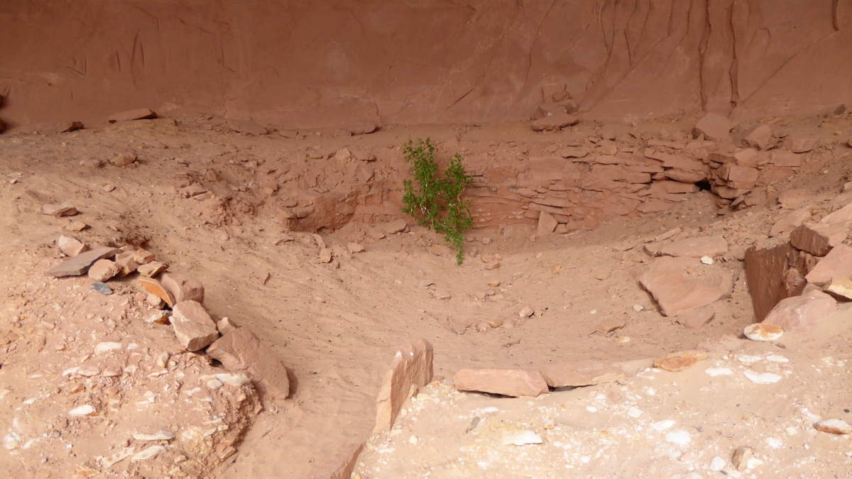 Tower House Ruins – Cedar Mesa – Utah