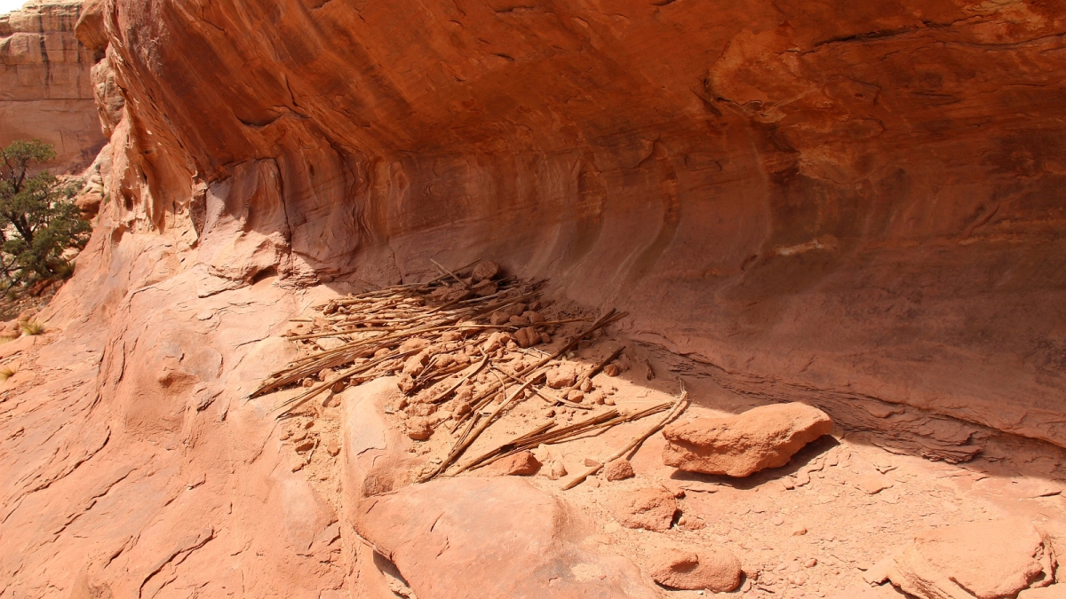 Bullet Canyon – Cedar Mesa – Utah