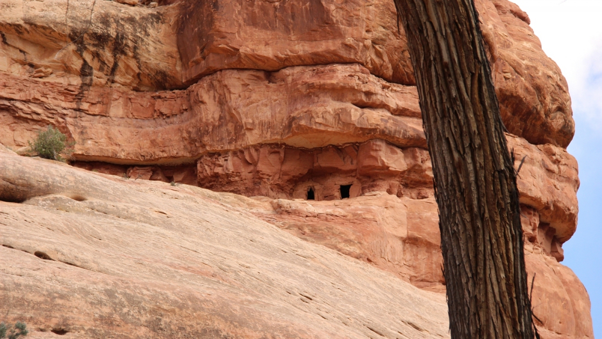 Bullet Canyon – Cedar Mesa – Utah