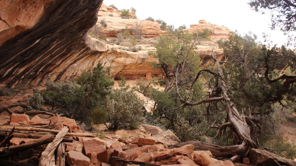 Big Foot Ruins – Natural Bridges National Monument – Utah