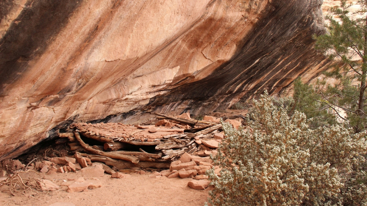 Big Foot Ruins – Natural Bridges National Monument – Utah