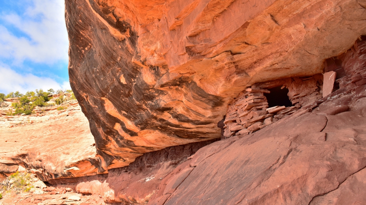 Road Canyon – Cedar Mesa – Utah