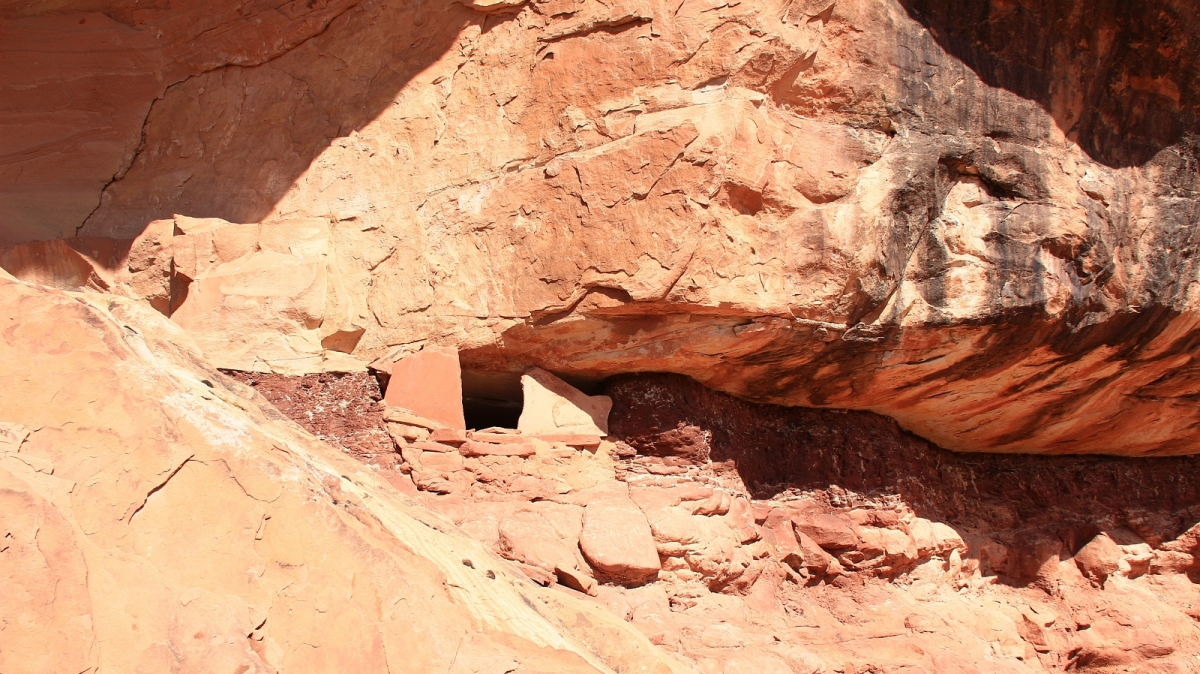 Road Canyon – Cedar Mesa – Utah
