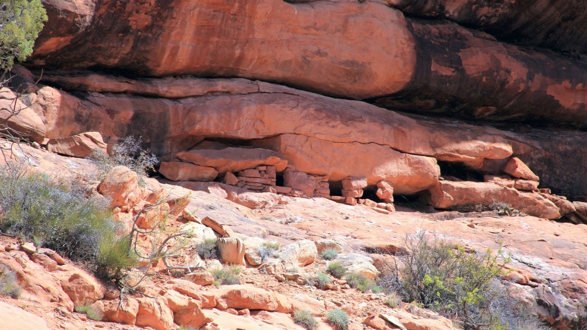 Road Canyon – Cedar Mesa – Utah