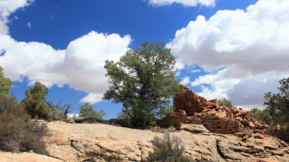 Cave Tower Ruins – Cedar Mesa – Utah