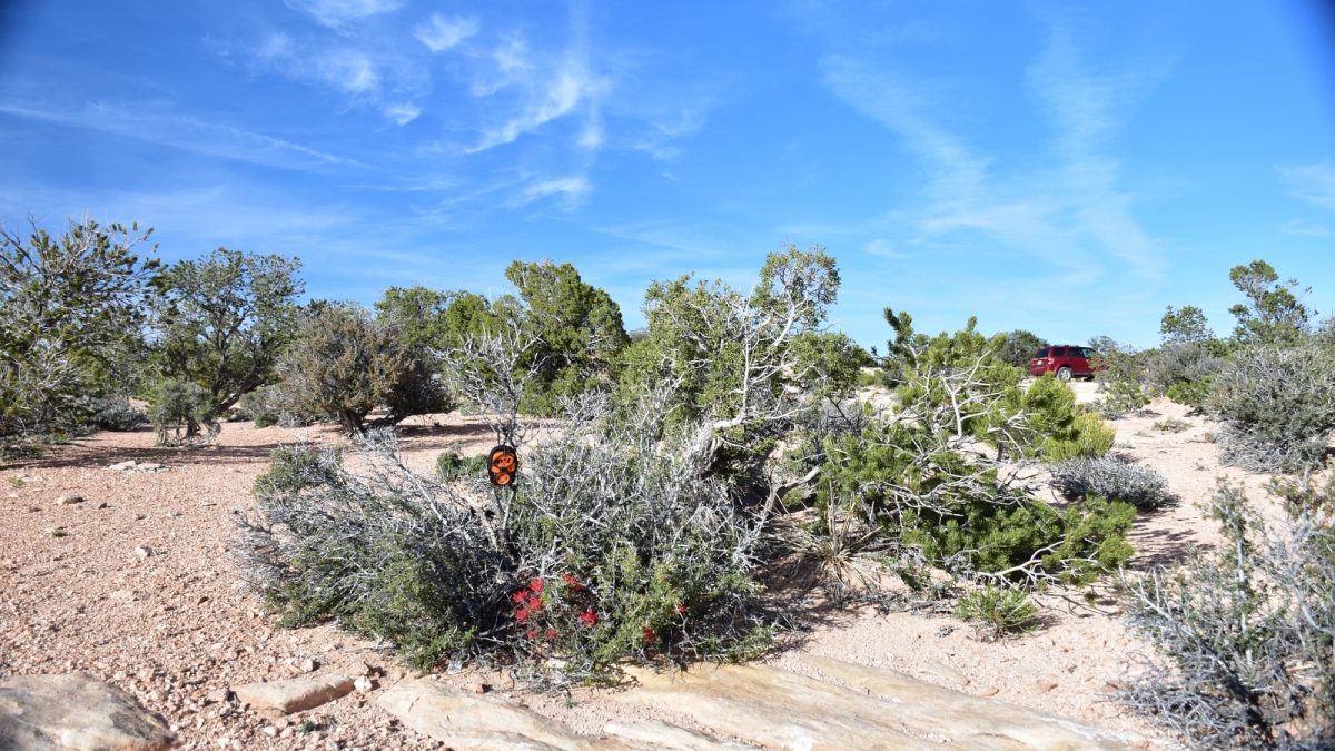 Muley Point – Cedar Mesa – Utah