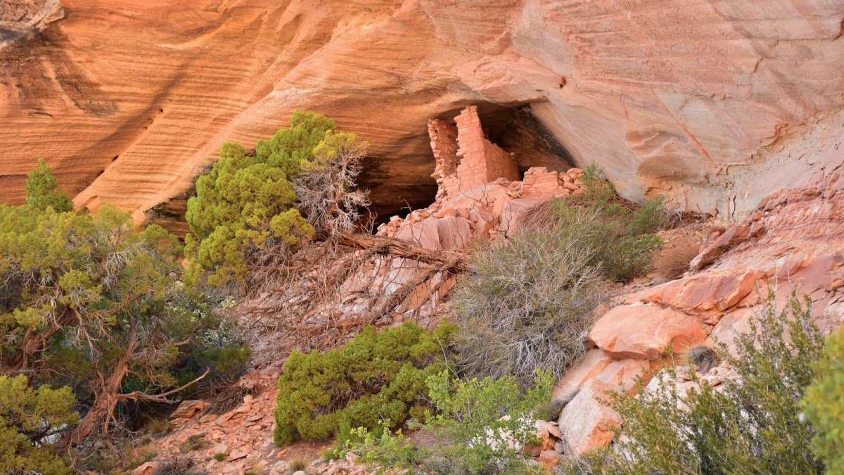 Double Alcove Ruins – Cedar Mesa – Utah