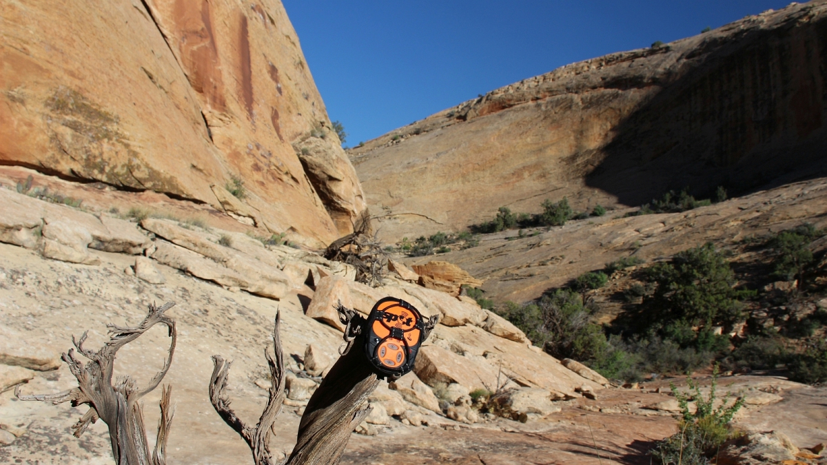 Double Alcove Ruins – Cedar Mesa – Utah