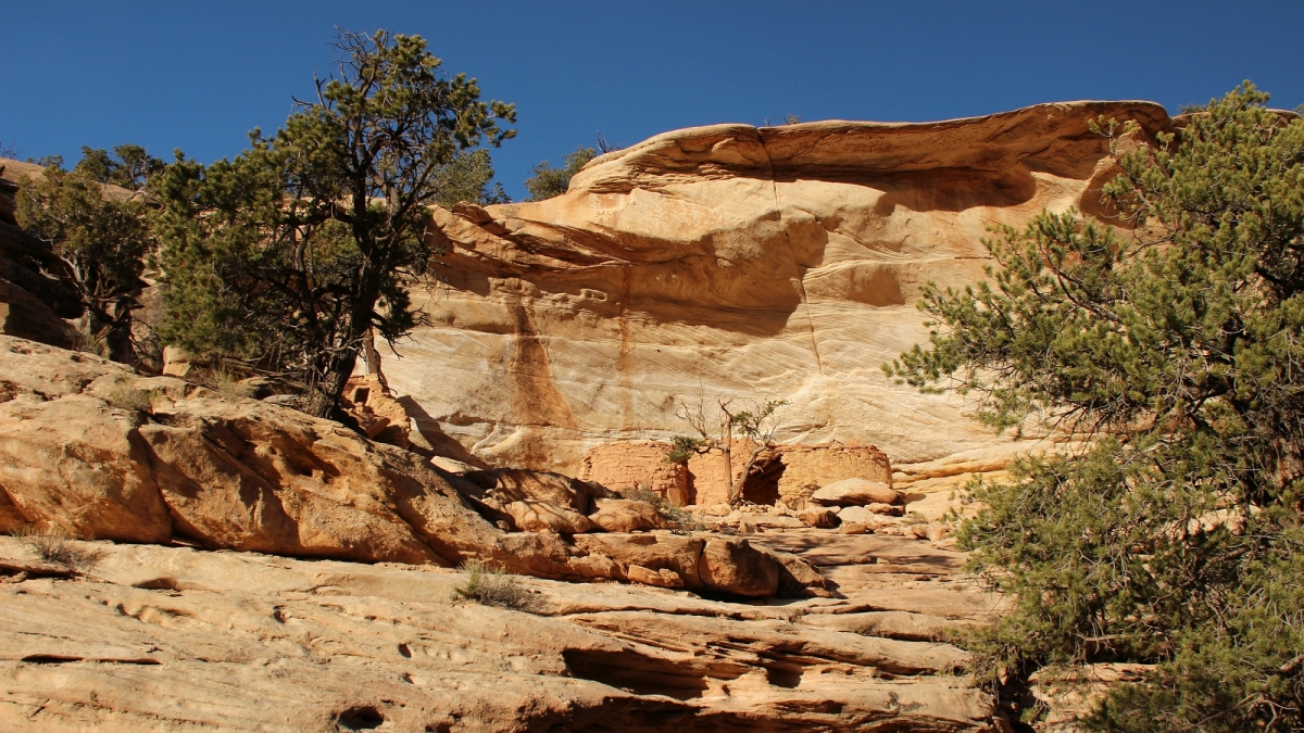 Yellow House – Sheiks Canyon – Cedar Mesa – Utah