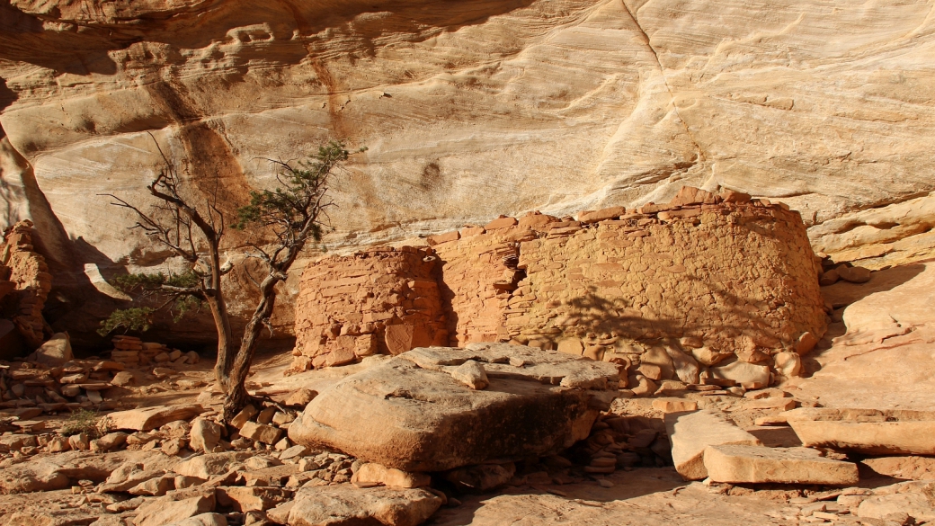 Yellow House - Sheiks Canyon - Cedar Mesa