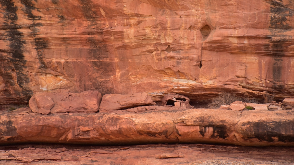 White Canyon – Natural Bridges National Monument – Utah