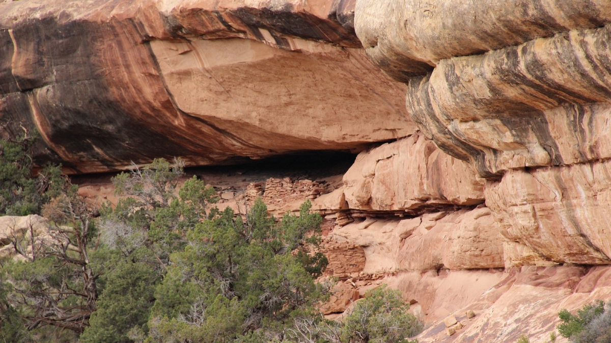 White Canyon – Natural Bridges National Monument – Utah