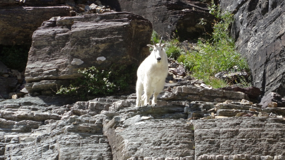 Ptarmigan Tunnel – Glacier National Park – Montana