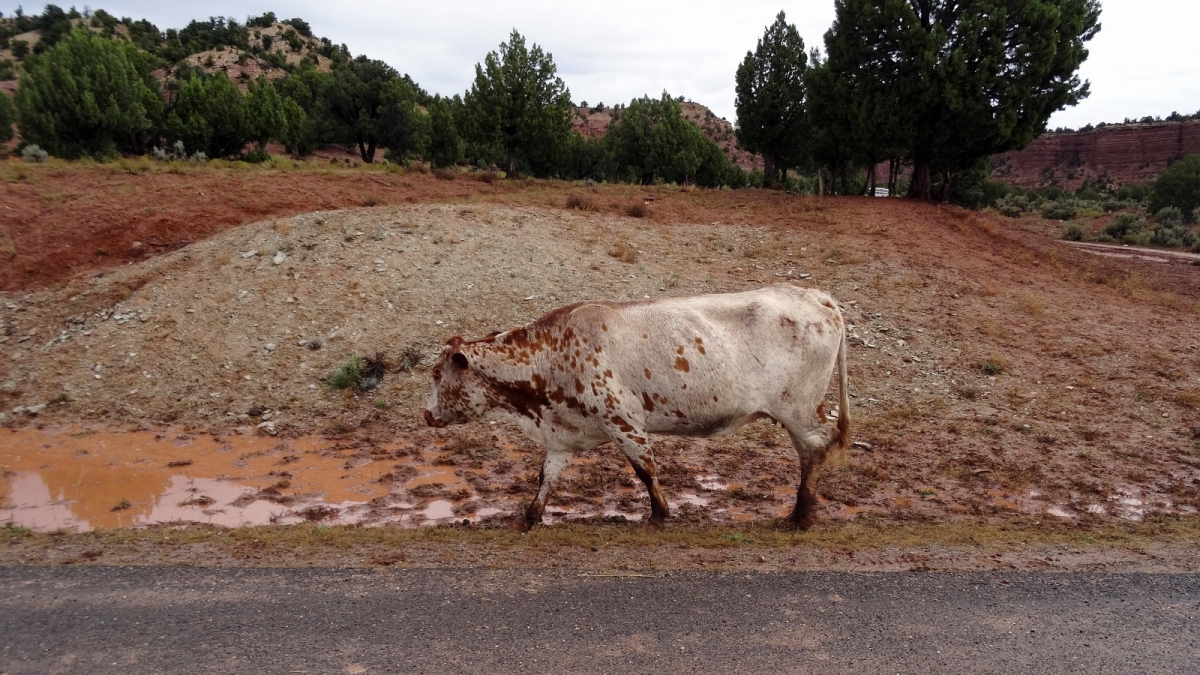 Kodachrome Basin State Park – Utah