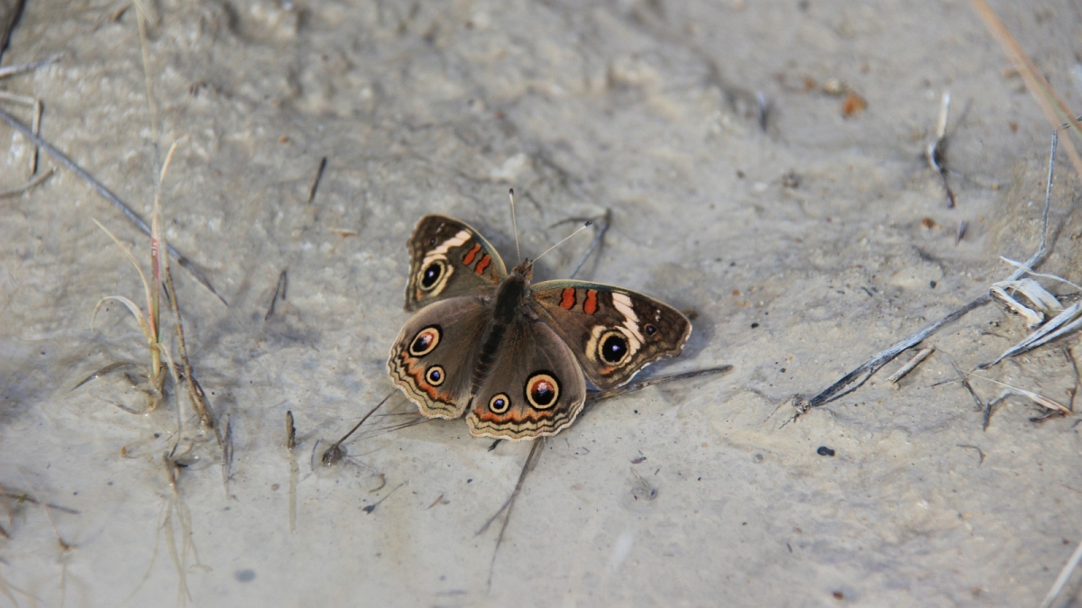 Kodachrome Basin State Park – Utah