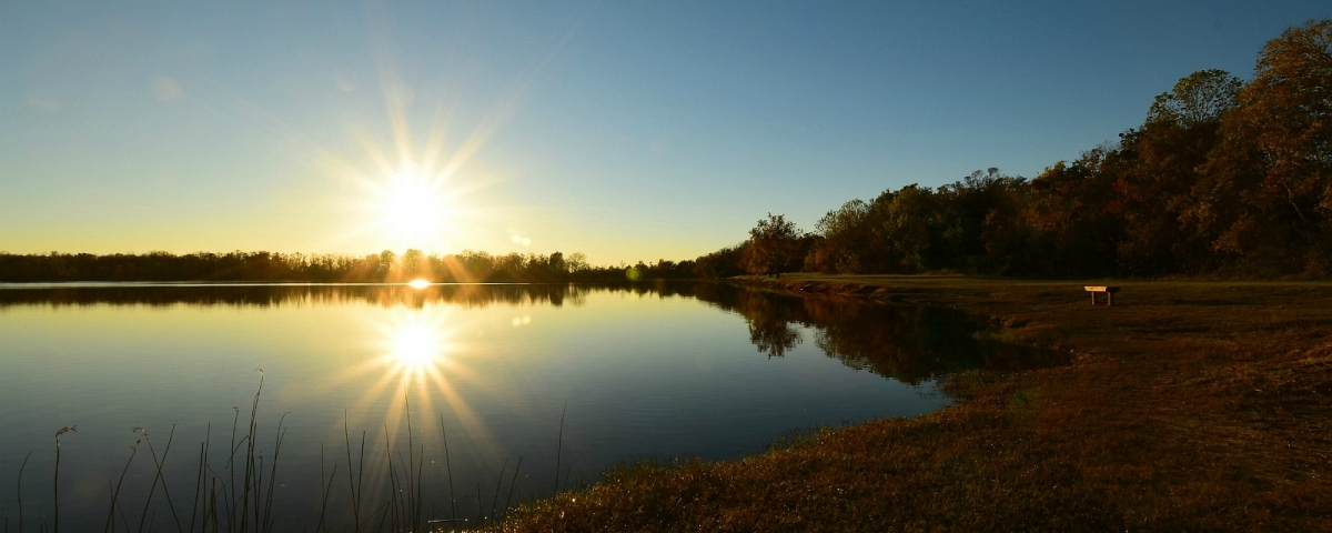 Petit lac dans le Barker Reservoir, au George Bush Park. À Houston, Texas.