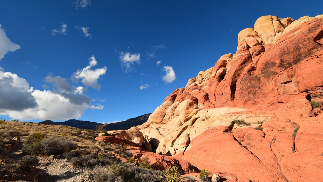 Calico Hills - Red Rock Canyon National Conservation Area