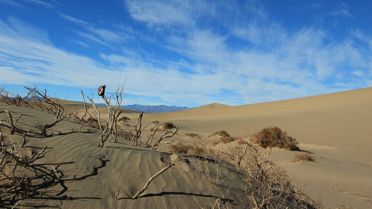 Mesquite Flat Sand Dunes – Death Valley National Park – California