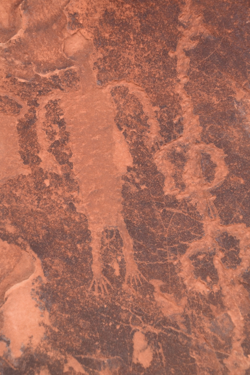 Procession Panel Canyon – Butler Wash – Cedar Mesa – Utah