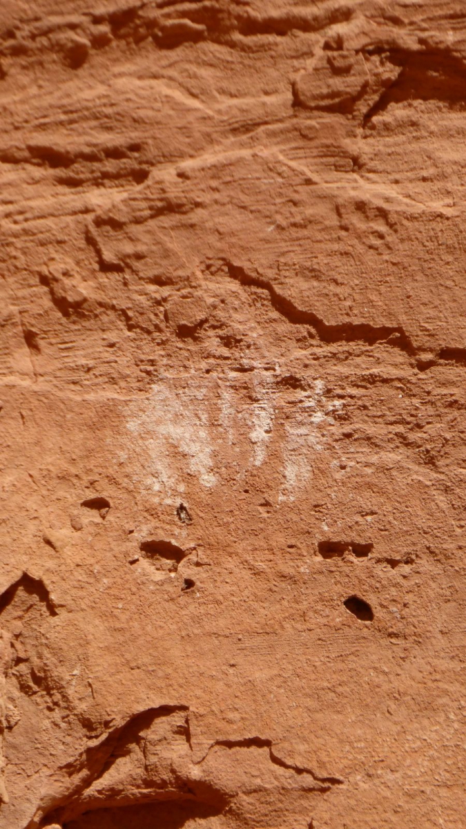 Junction Ruins – Kane Gulch – Cedar Mesa – Utah