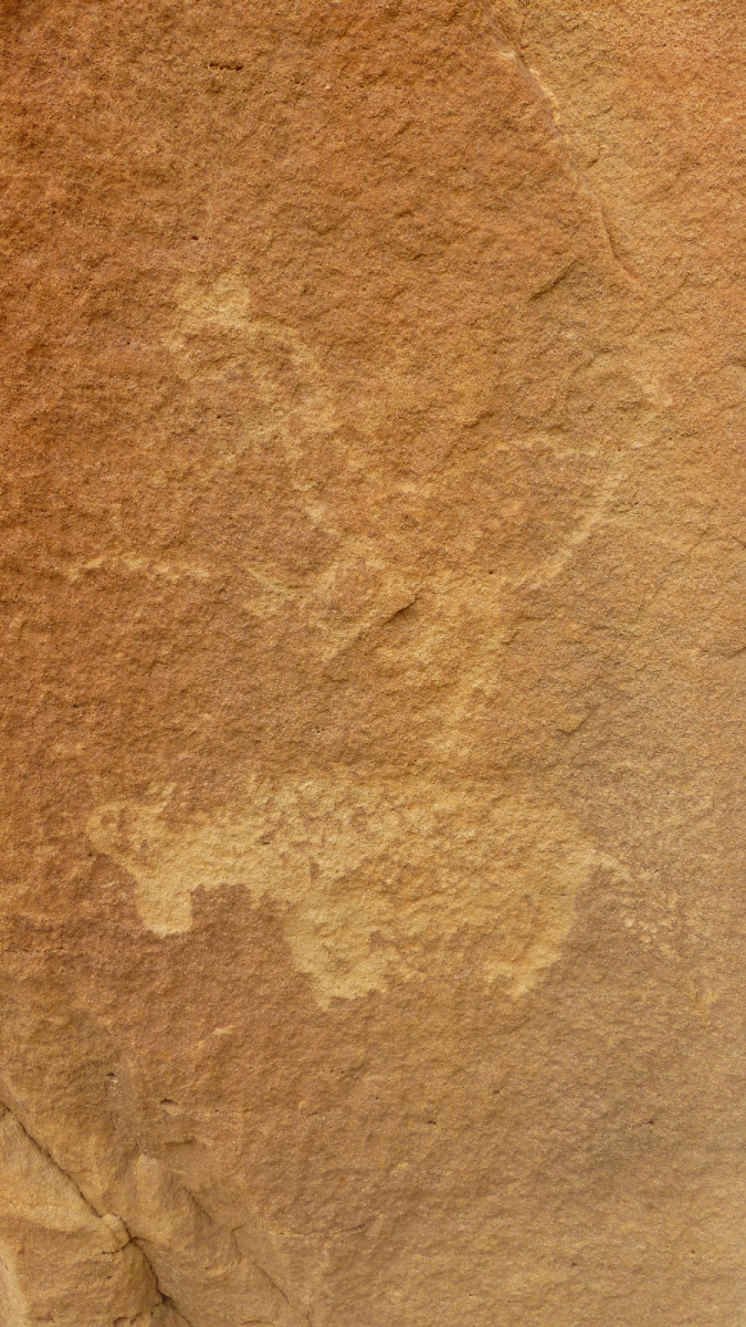 44 Panel – Crow Canyon – Nouveau Mexique