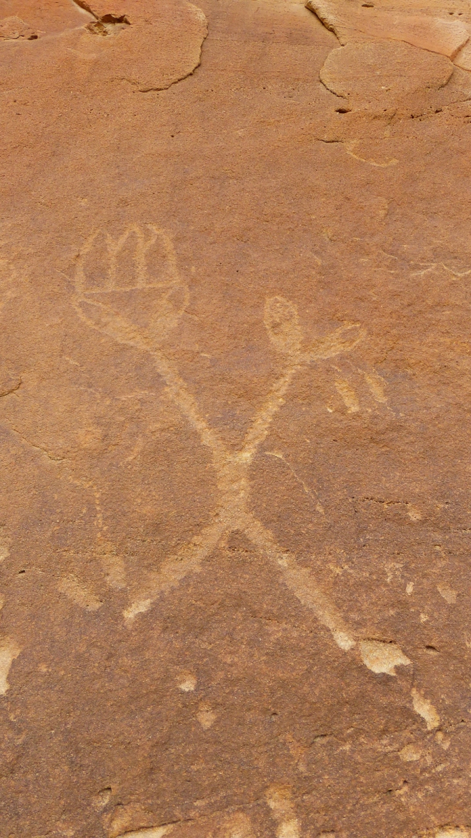 44 Panel – Crow Canyon – Nouveau Mexique