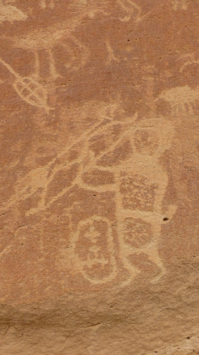 44 Panel – Crow Canyon – Nouveau Mexique