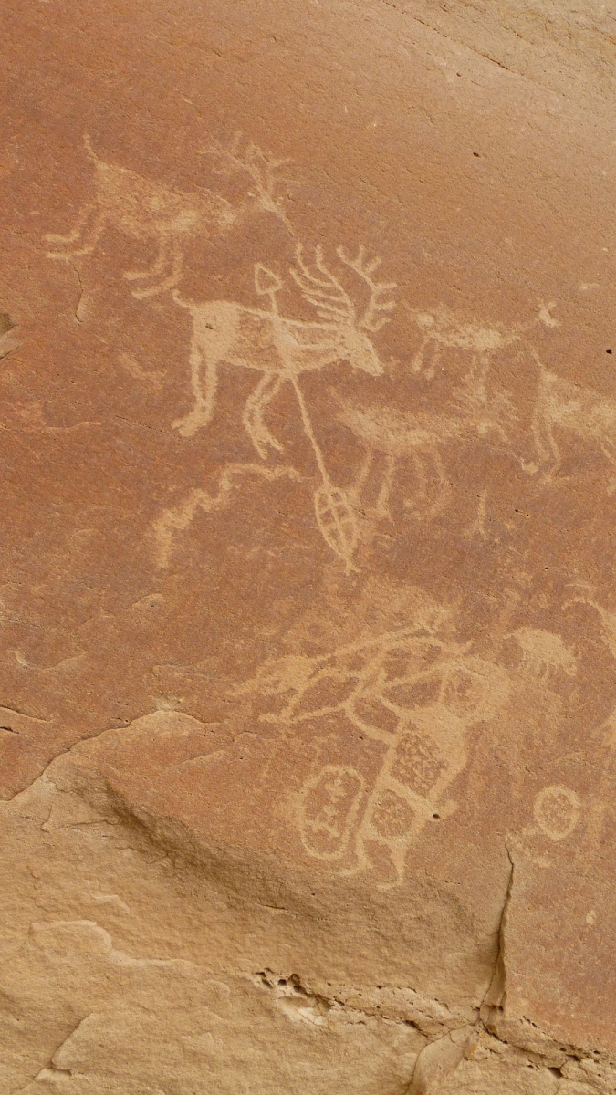 44 Panel – Crow Canyon – Nouveau Mexique