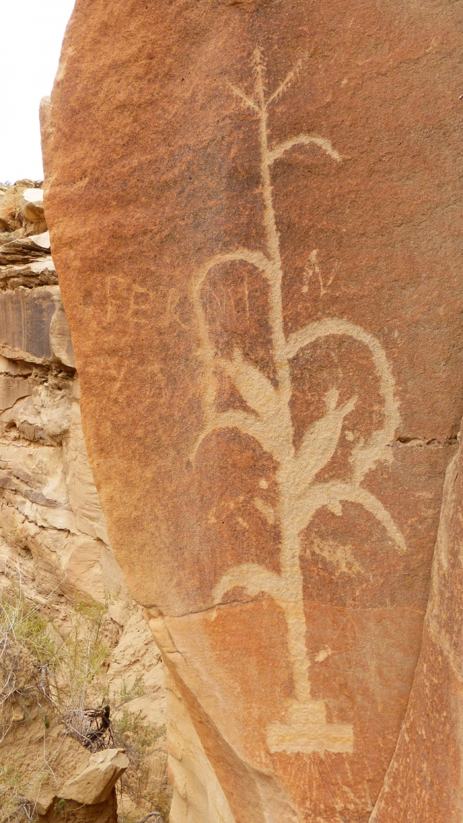 44 Panel – Crow Canyon – Nouveau Mexique
