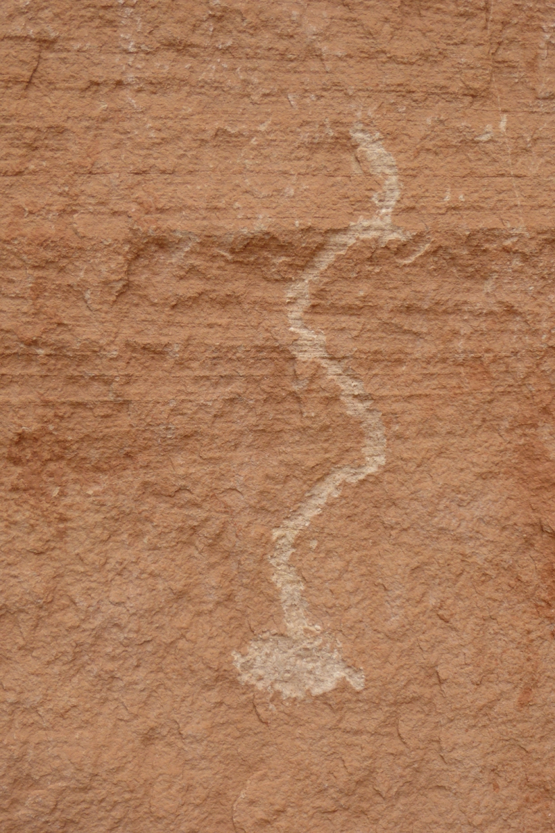 White Canyon – Natural Bridges National Monument – Utah