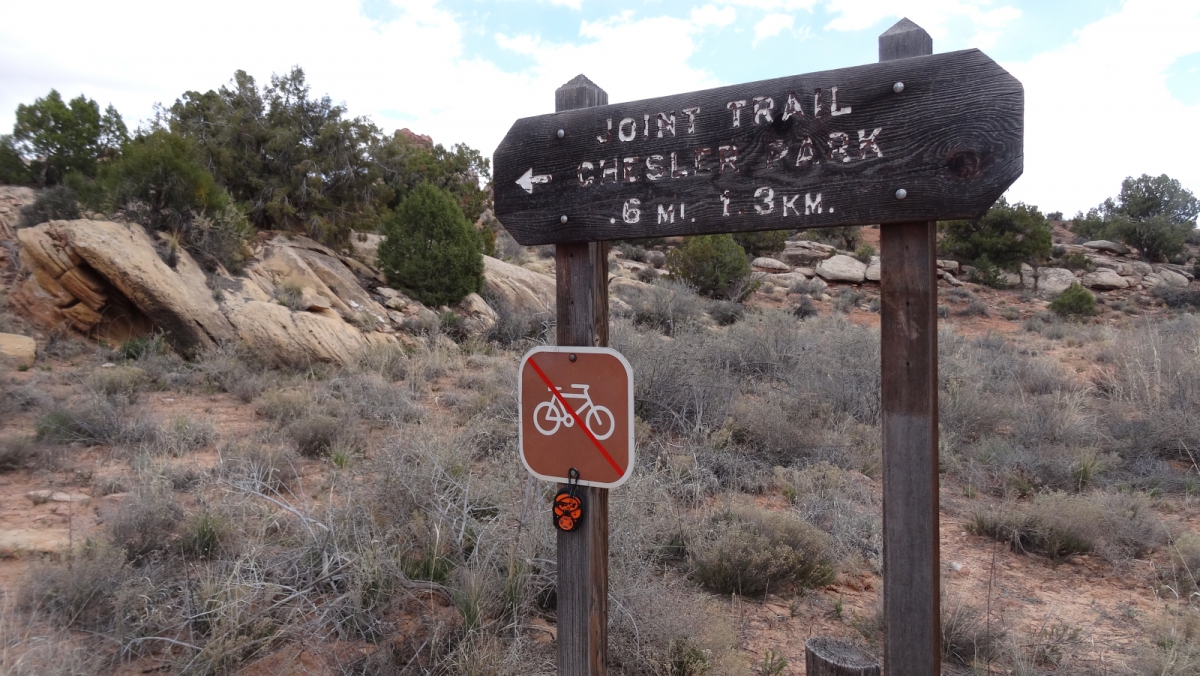 Joint Trail – Canyonlands National Park – Utah