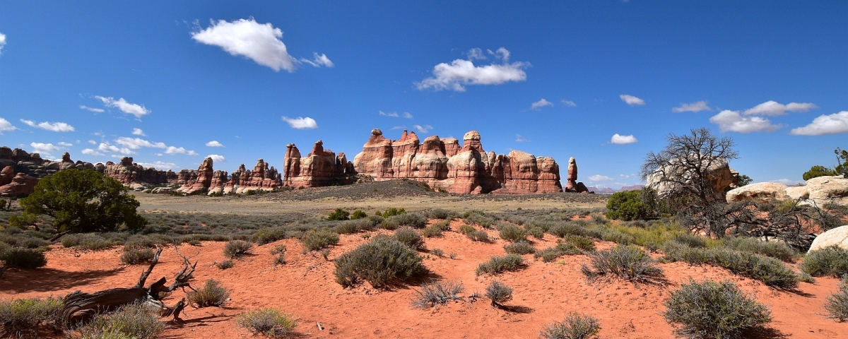 Chesler Park, c'est un endroit tellement magique ! A Canyonlands National Park, section de Needles.