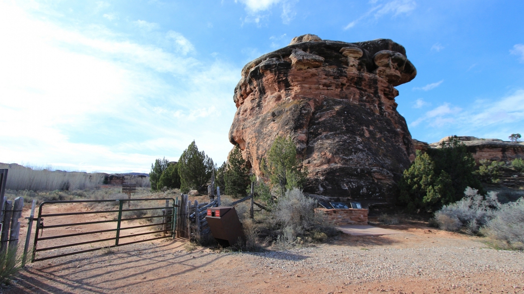 Départ du sentier vers Tower Ruin, à l'entrée de Salt Creek, une piste pour 4x4. Needles District de Canyonlands National Park, Utah.