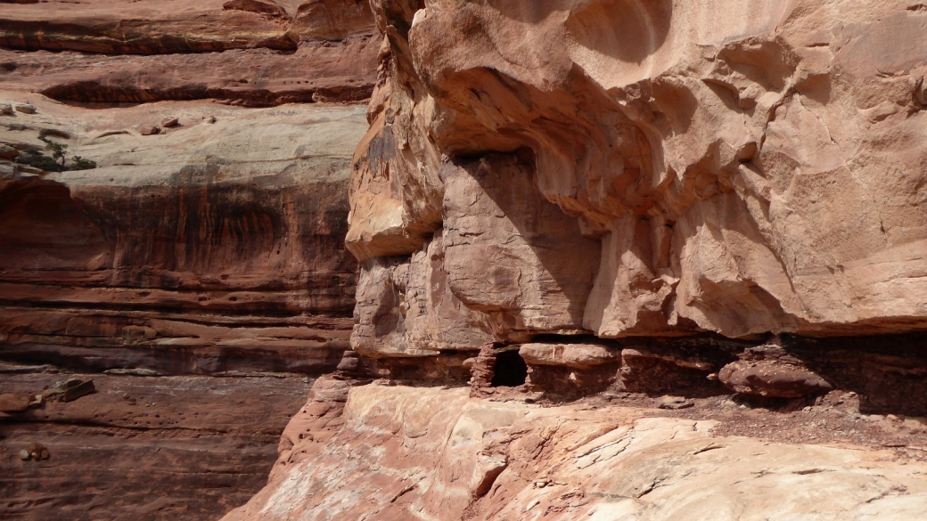 Tower Ruin - Canyonlands National Park - Utah