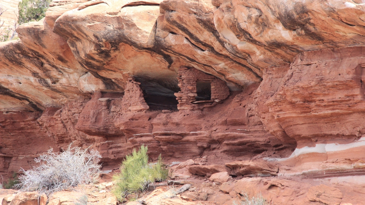 Lower Fish Creek – Cedar Mesa – Utah