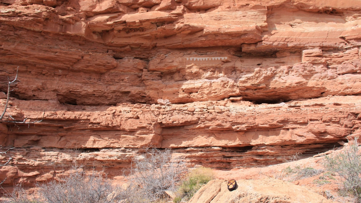 Lower Fish Creek – Cedar Mesa – Utah