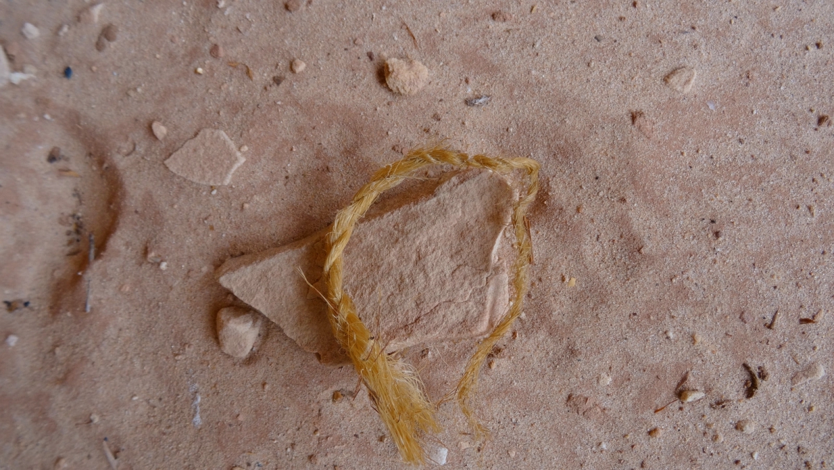 White Canyon – Natural Bridges National Monument – Utah