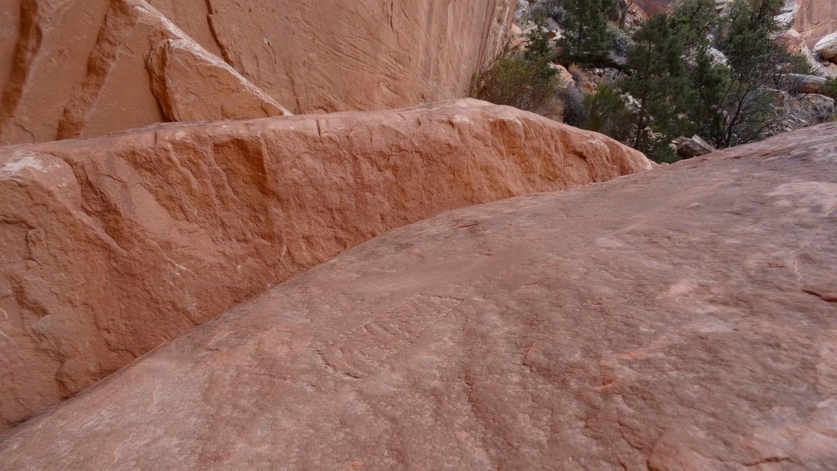 White Canyon – Natural Bridges National Monument – Utah