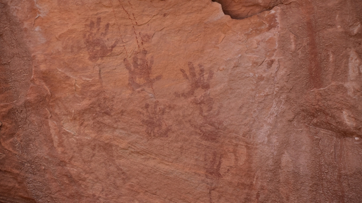 White Canyon – Natural Bridges National Monument – Utah