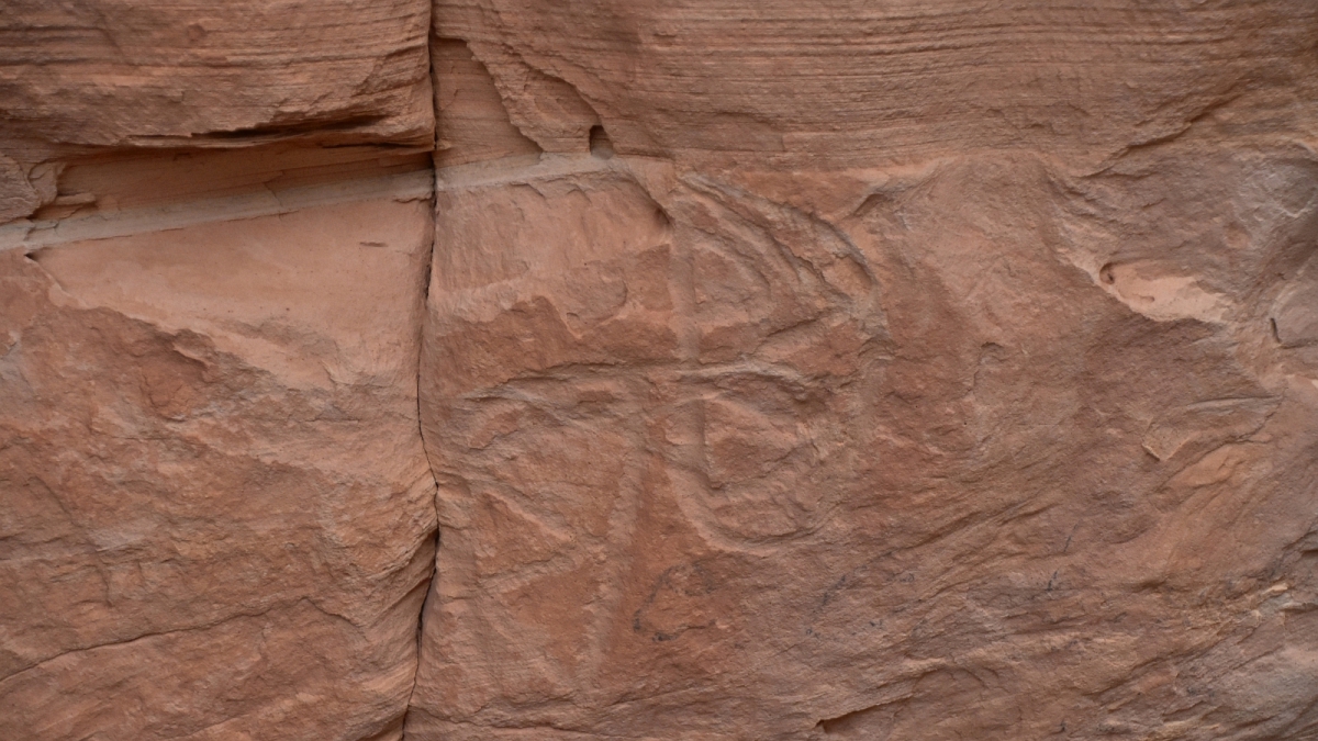 White Canyon – Natural Bridges National Monument – Utah