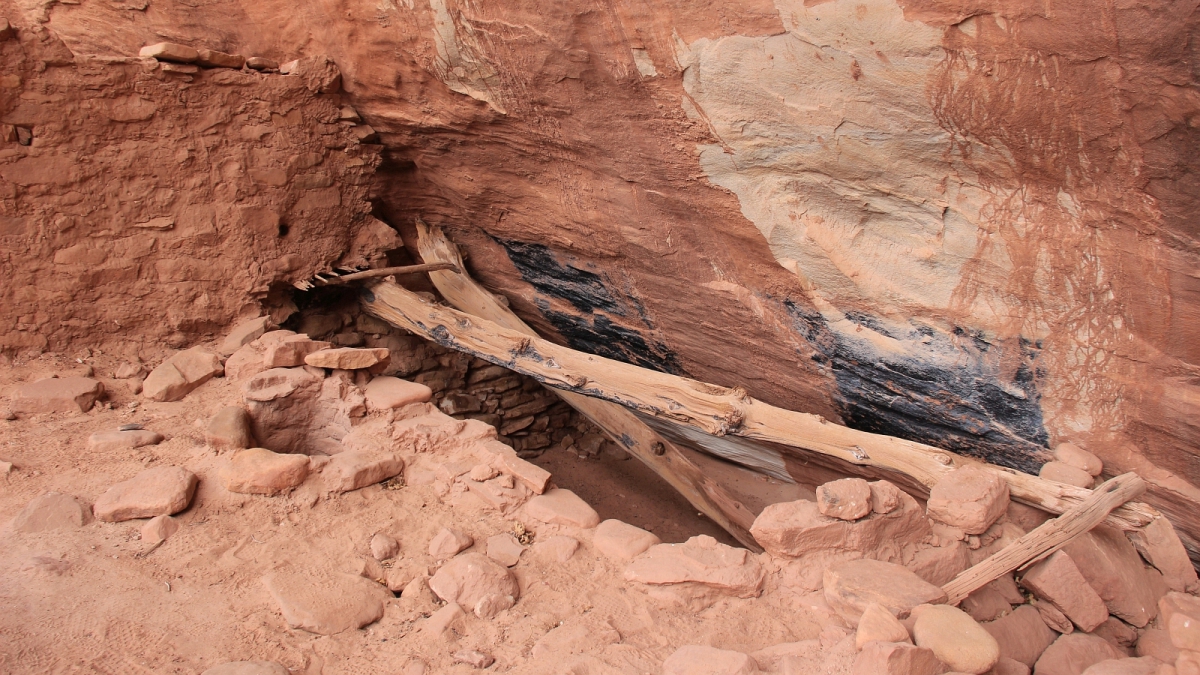 White Canyon – Natural Bridges National Monument – Utah