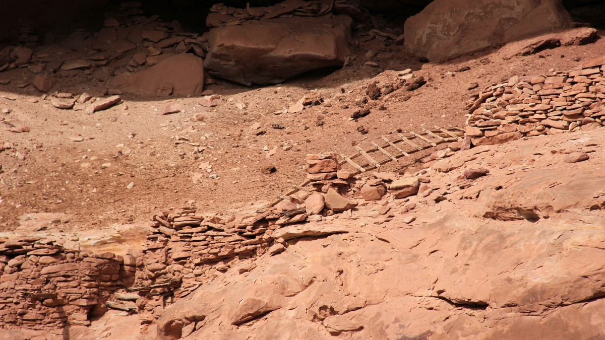 White Canyon – Natural Bridges National Monument – Utah