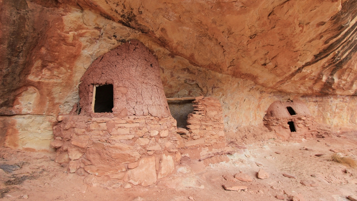 White Canyon – Natural Bridges National Monument – Utah