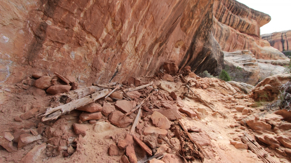 White Canyon – Natural Bridges National Monument – Utah